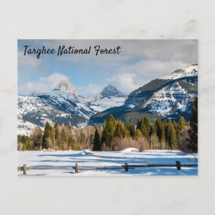 Översikt över Targhee National Forest Teton Vykort