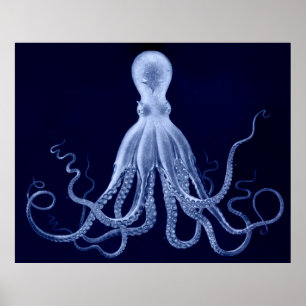 Oversized bläckfiskTriptychtryck i blått Poster