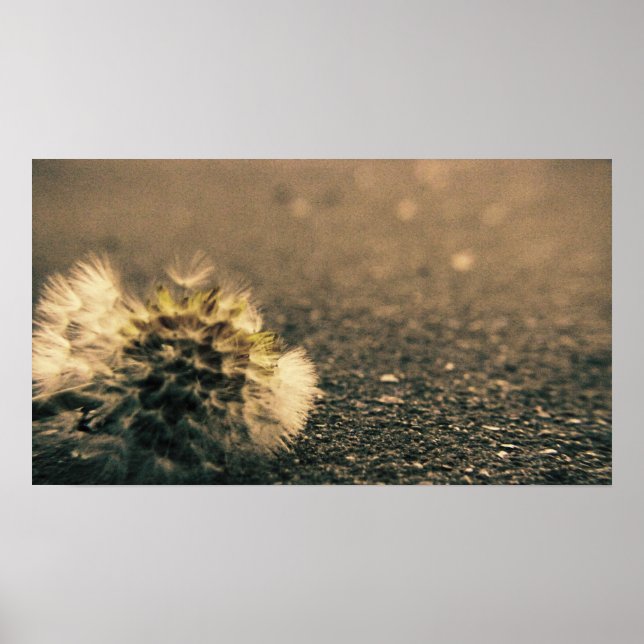 Överskuggad Poster (Framsidan)