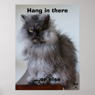 Överste Meow håller in där Poster