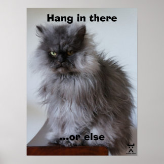 Överste Meow håller in där Poster