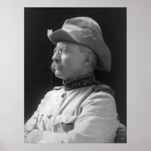 Överste Roosevelt Poster