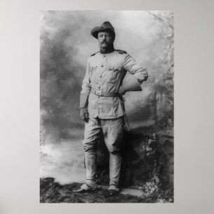Överste Teddy Roosevelt Poster