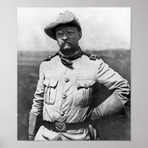 Överste Theodore Roosevelt Poster