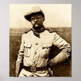 Överste Theodore Roosevelt Poster