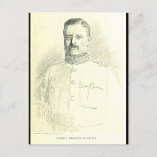 Överste Theodore Roosevelt Vykort