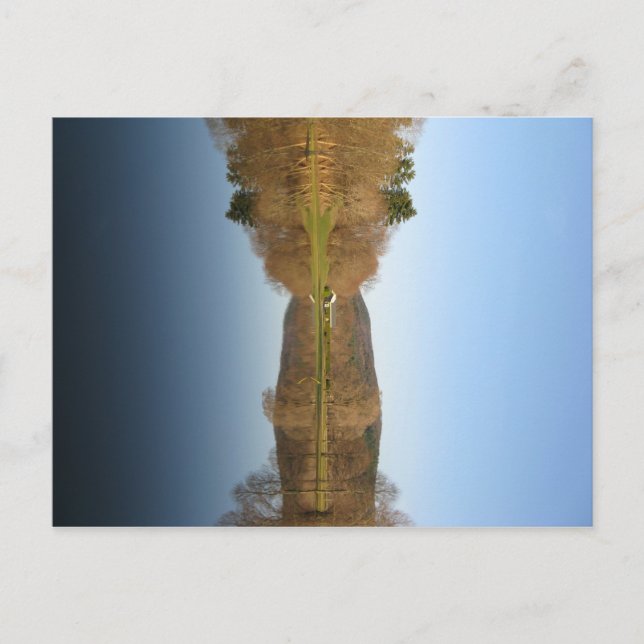 Översvämmade Golfkurser Vykort (Framsida)