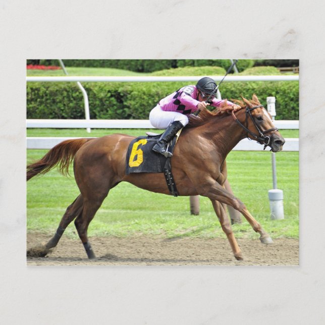 Översyn av bok vykort (Framsida)