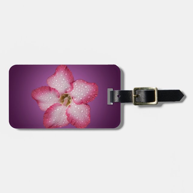 Övertoningsvåld för Adenium Rosa Flower Flora-över Bagagebricka (Horisontell Framsida)