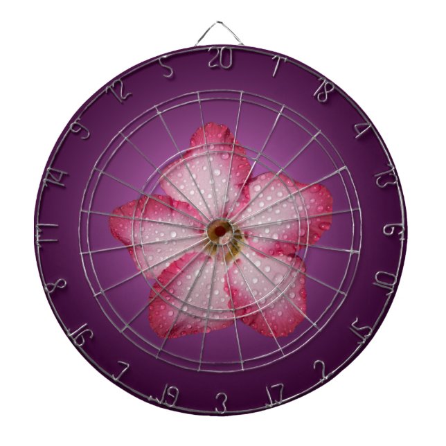 Övertoningsvåld för Adenium Rosa Flower Flora-över Piltavla (Framsidan)