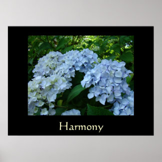 Övertons konsttryck gåvor Blå Hortensia Blommor Poster