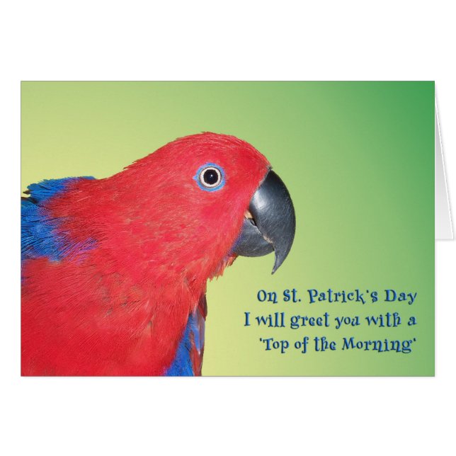 Överträffa av morgonen hälsningskort (Framsidan Horizontal)