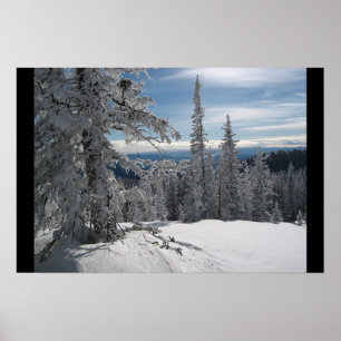 Överträffa av Wayright - steamboaten Colorado Poster