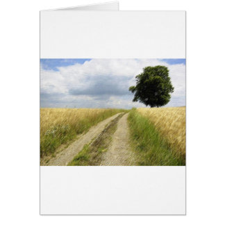 ÖVERTYGLIGHET HÄLSNINGSKORT