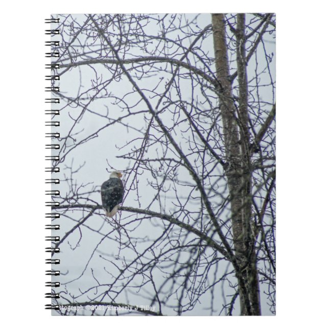 Övervakning Anteckningsbok (Framsidan)