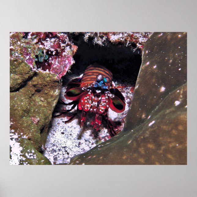 Övervakning av inresa poster (Framsidan)