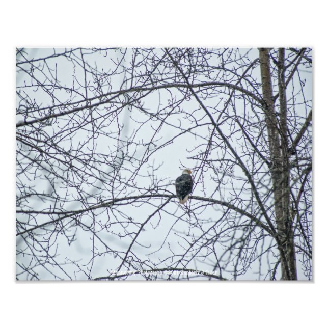 Övervakning Fototryck (Framsidan)