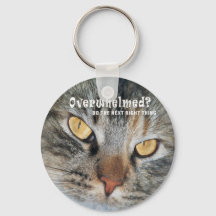 överväldigad Nellie