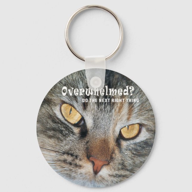 överväldigad Nellie Nyckelring (Framsida)