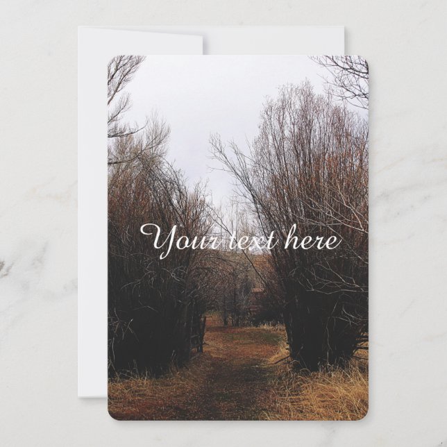 Överväxt av fallbanderoll (Framsida)