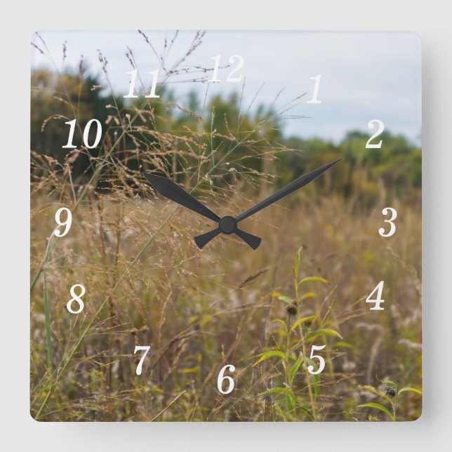Överväxt Prairie Wall Clock Fyrkantig Klocka (Framsida)