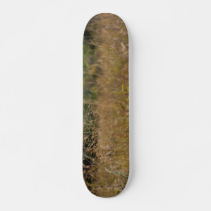 Övervuxen Prairie Old School Skateboard Bräda 18 Cm