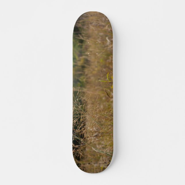 Övervuxen Prairie Old School Skateboard Bräda 18 Cm (Framsida)