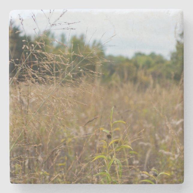 Övervuxen Prairie Underlägg Sten (Framsidan)