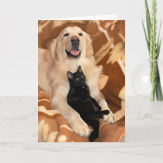 Ovillkorlig Hund av vänliga Vänskaper och katt Kort
