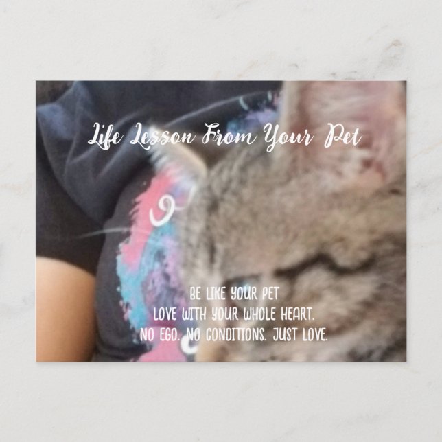 Ovillkorlig Kärlek Life Lesson från sällskapsdjure Helg Vykort (Framsida)