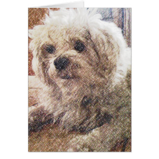 Ovillkorlig kärlek OBS kort