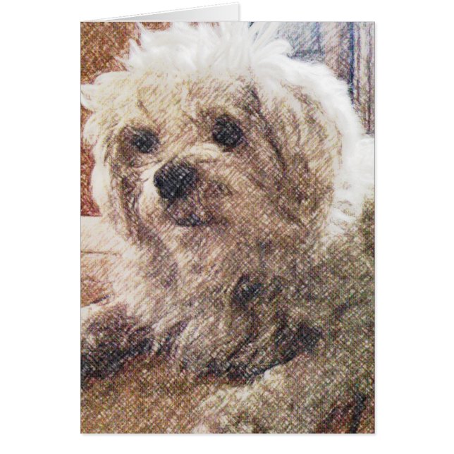 Ovillkorlig kärlek OBS kort (Framsidan)