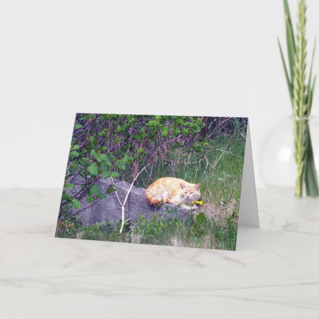 Ovillkorligt gratulationskort kort (Framsida)