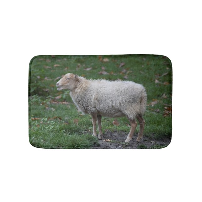 Ovis aries badrumsmatta (Framsidan)