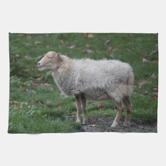 Ovis aries kökshandduk (Horisontell)