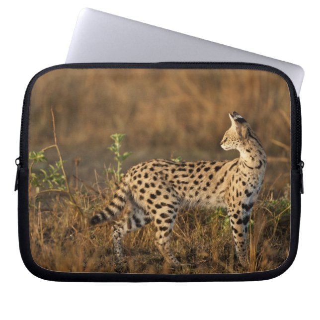 Övre Mara, Masai Mara viltreservat, Kenya, Laptop Fodral (Framsidan)