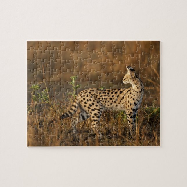 Övre Mara, Masai Mara viltreservat, Kenya, Pussel (Horisontell)