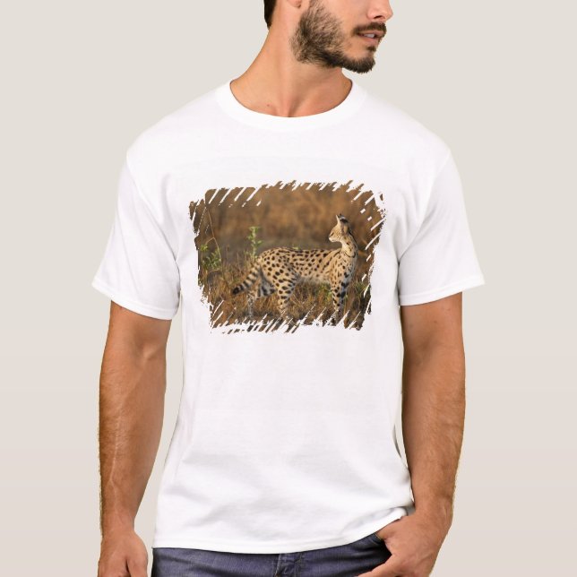 Övre Mara, Masai Mara viltreservat, Kenya, T-shirt (Framsida)
