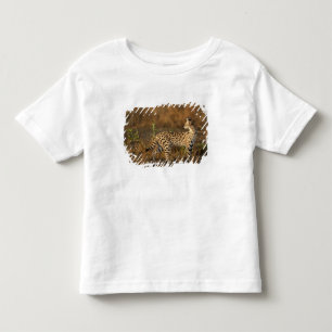 Övre Mara, Masai Mara viltreservat, Kenya, T-shirt