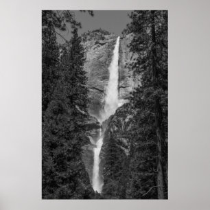 Övre nedre Yosemite Falls Black and White Poster