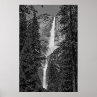 Övre nedre Yosemite Falls Black and White Poster