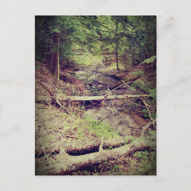 Övre Peninsulan Bäck Vykort (Framsida)