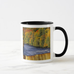 Övre Tahquamenonfallen i UP Michigan i Mugg