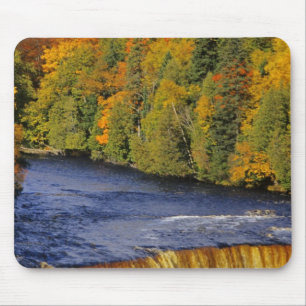 Övre Tahquamenonfallen i UP Michigan i Musmatta