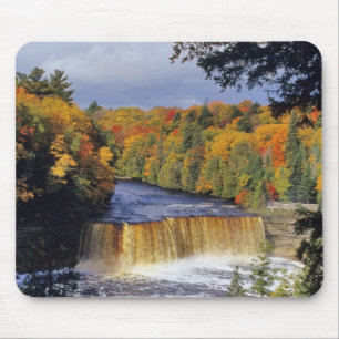 Övre Tahquamenonfallen i UP Michigan på hösten Musmatta