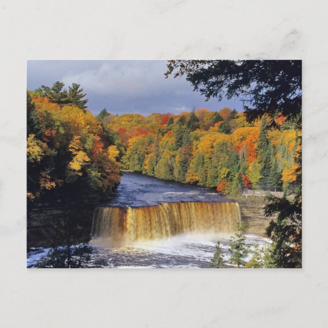 Övre Tahquamenonfallen i UP Michigan på hösten Vykort (Framsida)