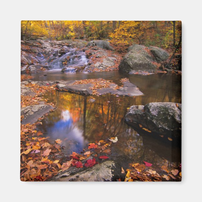 Övre Whiteoak Falls, Shenandoah National Park, VA Magnet (Framsidan)