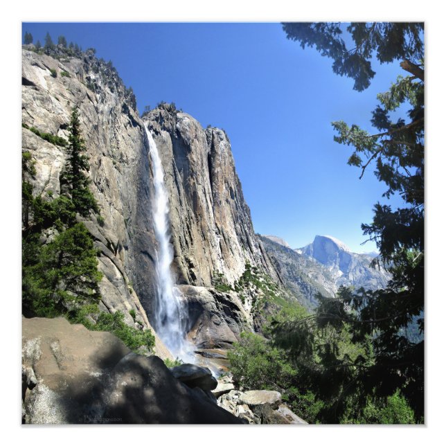 Övre Yosemite Falls - Yosemite Fototryck (Framsidan)