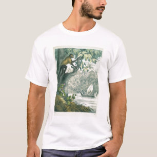 Övreräckvidder av amasonen, från 'der för Das T Shirt