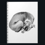 Övriga anteckningar anteckningsbok<br><div class="desc">En uppklämd hund ger omslaget och uppmanar dig att sakta ner och skriva i lugnar. Skuggningen i bläck känns mjuk och mänsklig,  en perfekt följeslagare för journalföring.</div>